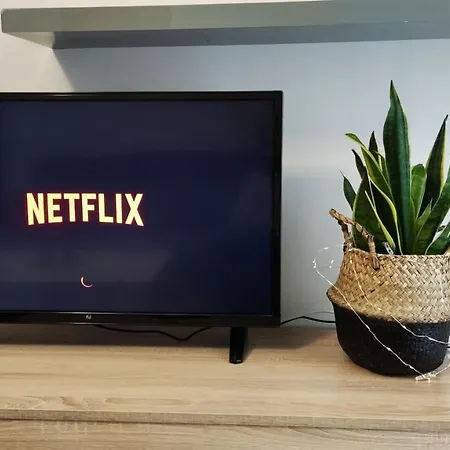 Trikalabnb - Rock & Roll 2 In *